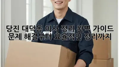 당진 대덕동 이사 정리 완벽 가이드: 문제 해결부터 효율적인 정리까지